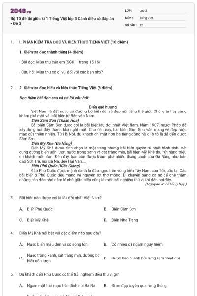 Bộ 10 đề thi giữa kì 1 Tiếng Việt lớp 3 Cánh diều có đáp án - Đề 3