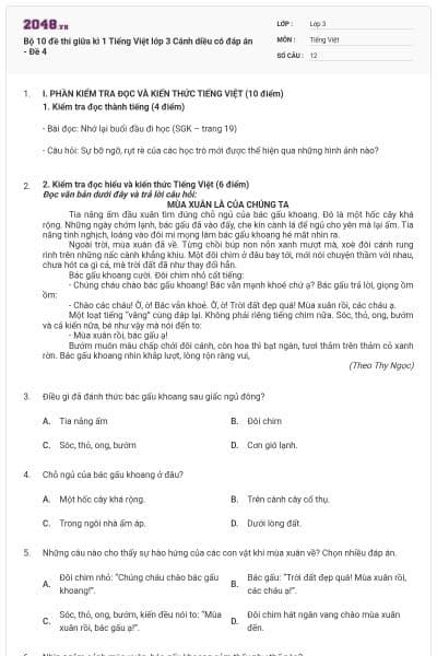 Bộ 10 đề thi giữa kì 1 Tiếng Việt lớp 3 Cánh diều có đáp án - Đề 4