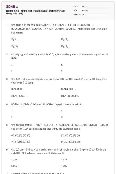 Bài tập Amin, Amino axit, Protein có giải chi tiết (mức độ thông hiểu - P1)