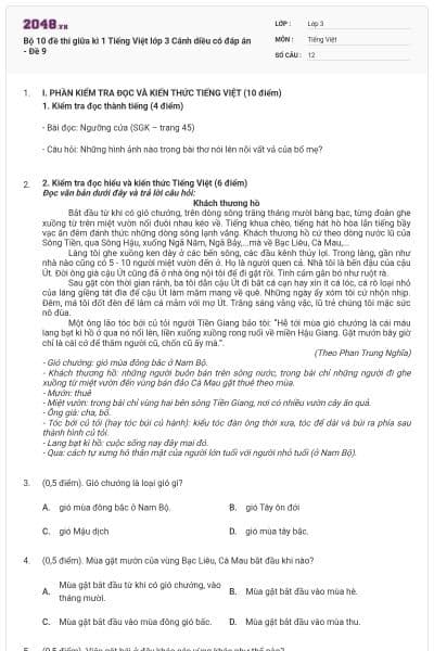 Bộ 10 đề thi giữa kì 1 Tiếng Việt lớp 3 Cánh diều có đáp án - Đề 9