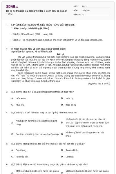 Bộ 10 đề thi giữa kì 2 Tiếng Việt lớp 3 Cánh diều có đáp án - Đề 2