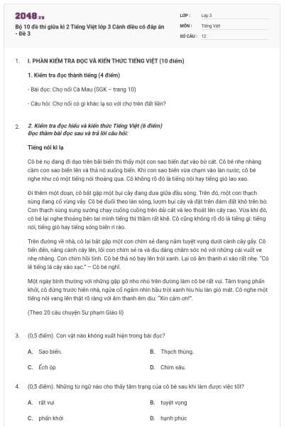 Bộ 10 đề thi giữa kì 2 Tiếng Việt lớp 3 Cánh diều có đáp án - Đề 3