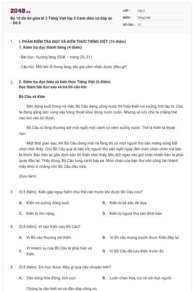 Bộ 10 đề thi giữa kì 2 Tiếng Việt lớp 3 Cánh diều có đáp án - Đề 6