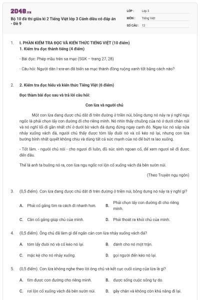 Bộ 10 đề thi giữa kì 2 Tiếng Việt lớp 3 Cánh diều có đáp án - Đề 9