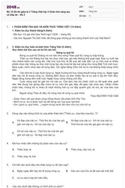 Bộ 10 đề thi giữa kì 2 Tiếng Việt lớp 3 Chân trời sáng tạo có đáp án - Đề 2