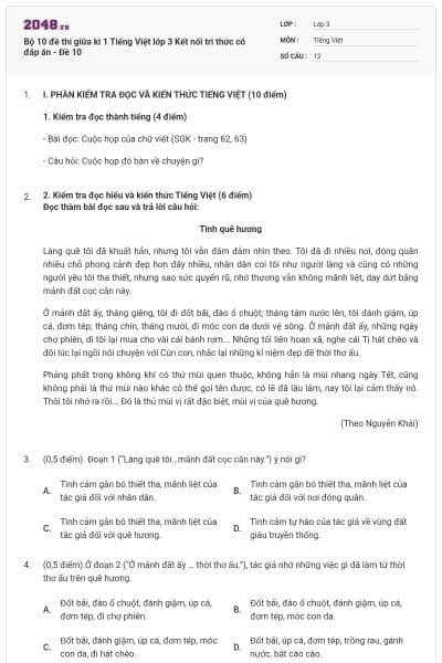 Bộ 10 đề thi giữa kì 1 Tiếng Việt lớp 3 Kết nối tri thức có đáp án - Đề 10