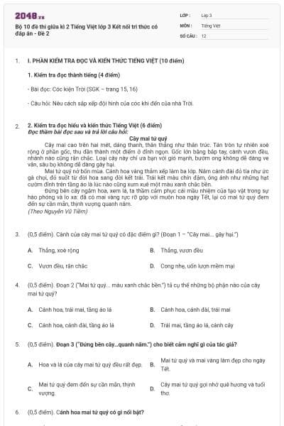 Bộ 10 đề thi giữa kì 2 Tiếng Việt lớp 3 Kết nối tri thức có đáp án - Đề 2