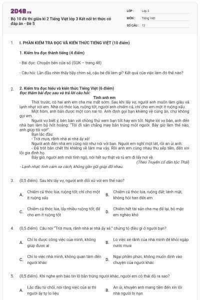 Bộ 10 đề thi giữa kì 2 Tiếng Việt lớp 3 Kết nối tri thức có đáp án - Đề 5