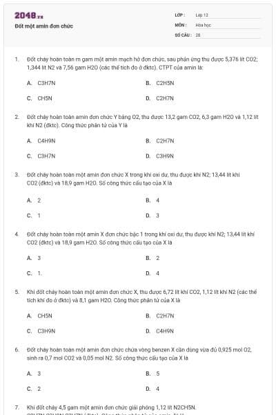 Đốt một amin đơn chức