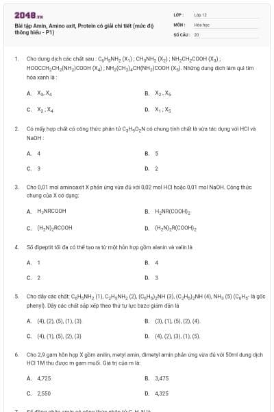 Bài tập Amin, Amino axit, Protein có giải chi tiết (mức độ thông hiểu - P1)