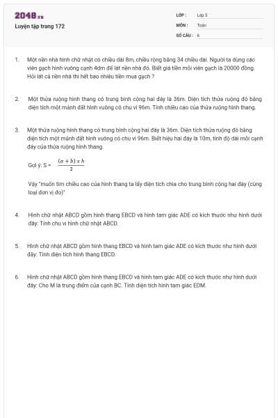 Luyện tập trang 172
