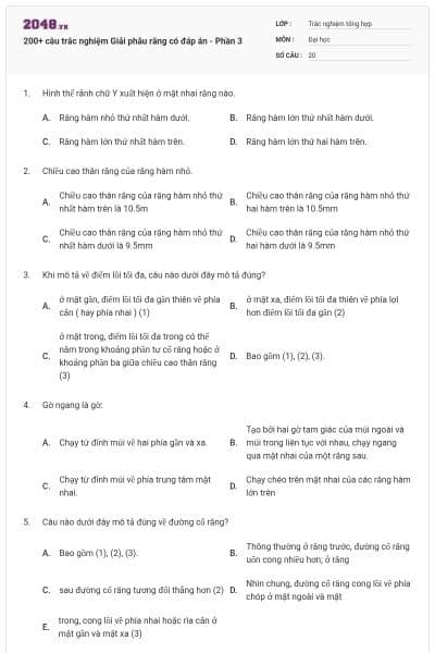 200+ câu trắc nghiệm Giải phẫu răng có đáp án - Phần 3