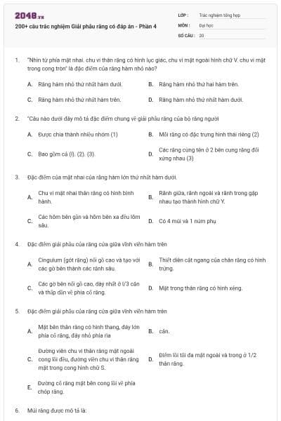 200+ câu trắc nghiệm Giải phẫu răng có đáp án - Phần 4