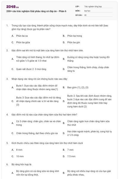 200+ câu trắc nghiệm Giải phẫu răng có đáp án - Phần 6
