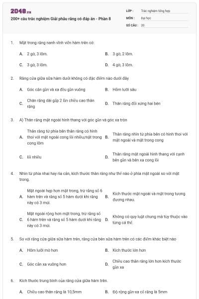 200+ câu trắc nghiệm Giải phẫu răng có đáp án - Phần 8