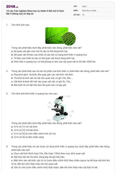 10 câu Trắc nghiệm Khoa học tự nhiên 6 Kết nối tri thức Bài 4 (Đúng sai) có đáp án