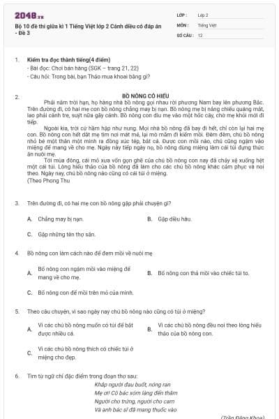 Bộ 10 đề thi giữa kì 1 Tiếng Việt lớp 2 Cánh diều có đáp án - Đề 3