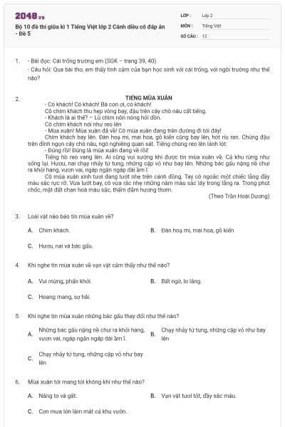 Bộ 10 đề thi giữa kì 1 Tiếng Việt lớp 2 Cánh diều có đáp án - Đề 5
