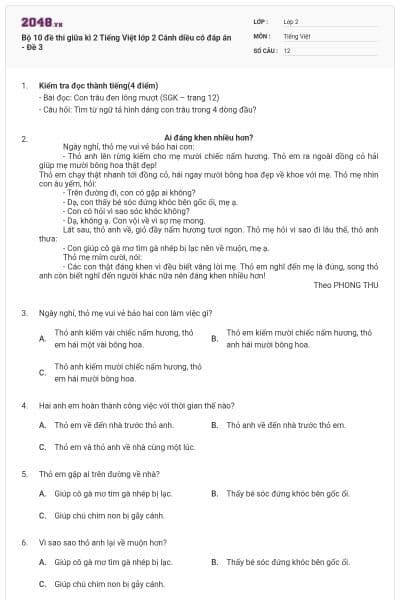 Bộ 10 đề thi giữa kì 2 Tiếng Việt lớp 2 Cánh diều có đáp án - Đề 3