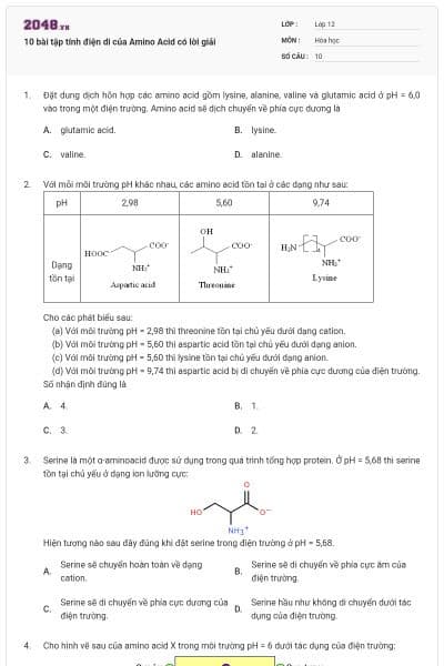 10 bài tập tính điện di của Amino Acid có lời giải