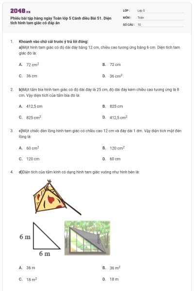 Phiếu bài tập hàng ngày Toán lớp 5 Cánh diều Bài 51. Diện tích hình tam giác có đáp án
