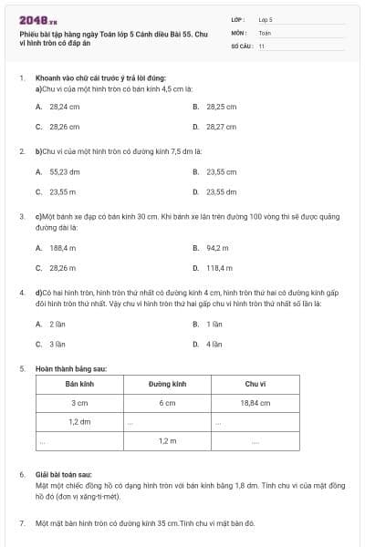 Phiếu bài tập hàng ngày Toán lớp 5 Cánh diều Bài 55. Chu vi hình tròn có đáp án