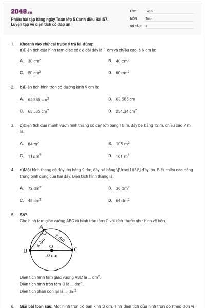 Phiếu bài tập hàng ngày Toán lớp 5 Cánh diều Bài 57. Luyện tập về diện tích có đáp án