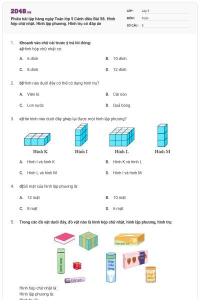 Phiếu bài tập hàng ngày Toán lớp 5 Cánh diều Bài 58. Hình hộp chữ nhật. Hình lập phương. Hình trụ có đáp án