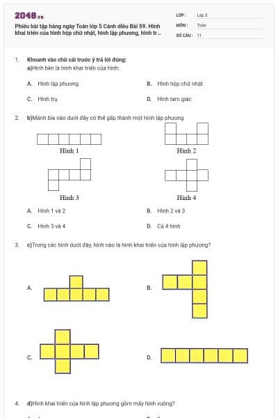 Phiếu bài tập hàng ngày Toán lớp 5 Cánh diều Bài 59. Hình khai triển của hình hộp chữ nhật, hình lập phương, hình trụ có đáp án