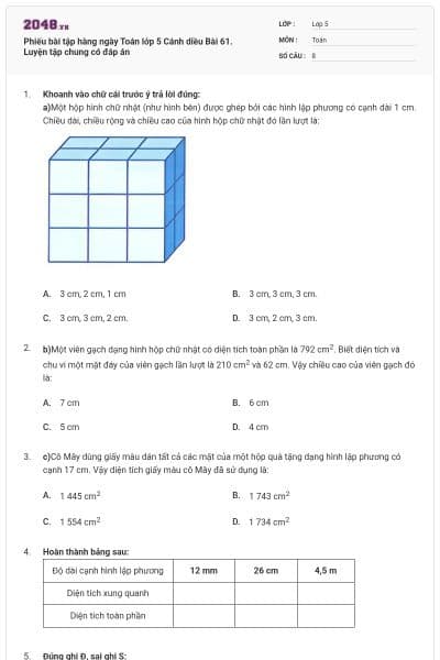 Phiếu bài tập hàng ngày Toán lớp 5 Cánh diều Bài 61. Luyện tập chung có đáp án