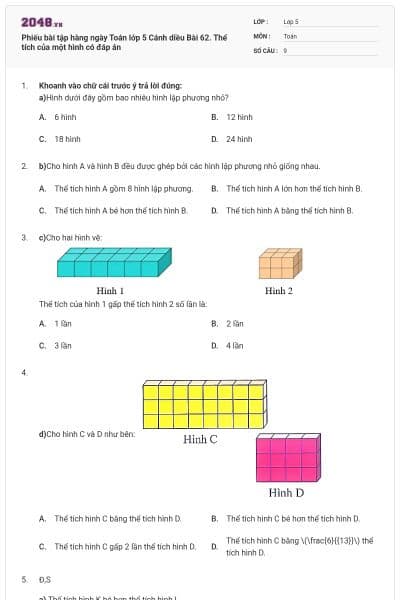 Phiếu bài tập hàng ngày Toán lớp 5 Cánh diều Bài 62. Thể tích của một hình có đáp án