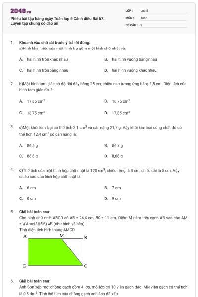 Phiếu bài tập hàng ngày Toán lớp 5 Cánh diều Bài 67. Luyện tập chung có đáp án