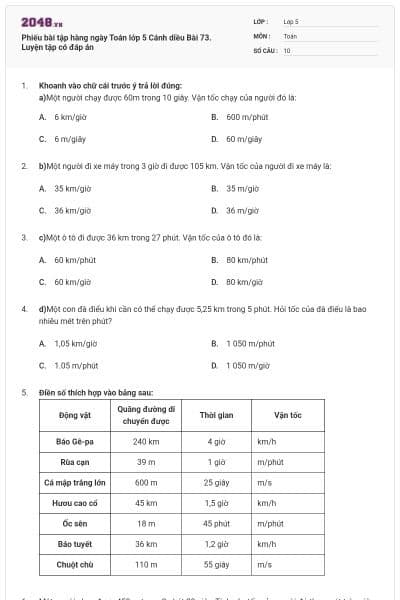 Phiếu bài tập hàng ngày Toán lớp 5 Cánh diều Bài 73. Luyện tập có đáp án