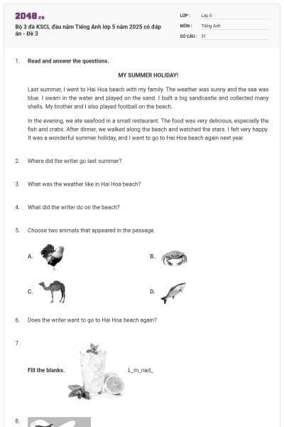 Bộ 3 đề KSCL đầu năm Tiếng Anh lớp 5 năm 2025 có đáp án - Đề 3