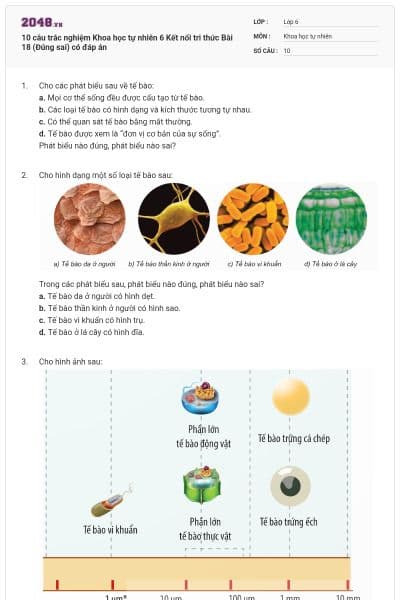 10 câu trắc nghiệm Khoa học tự nhiên 6 Kết nối tri thức Bài 18 (Đúng sai) có đáp án