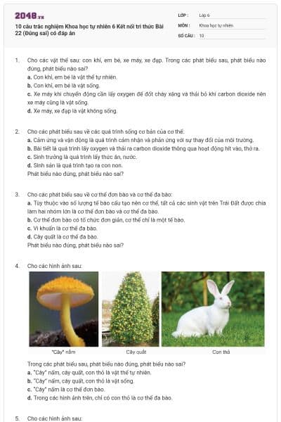 10 câu trắc nghiệm Khoa học tự nhiên 6 Kết nối tri thức Bài 22 (Đúng sai) có đáp án