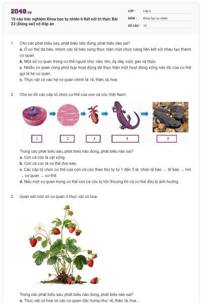 10 câu trắc nghiệm Khoa học tự nhiên 6 Kết nối tri thức Bài 23 (Đúng sai) có đáp án