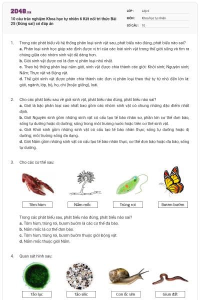 10 câu trắc nghiệm Khoa học tự nhiên 6 Kết nối tri thức Bài 25 (Đúng sai) có đáp án