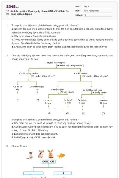 10 câu trắc nghiệm Khoa học tự nhiên 6 Kết nối tri thức Bài 26 (Đúng sai) có đáp án