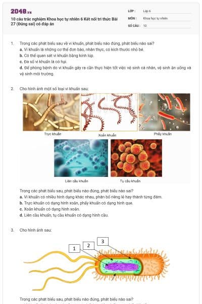 10 câu trắc nghiệm Khoa học tự nhiên 6 Kết nối tri thức Bài 27 (Đúng sai) có đáp án