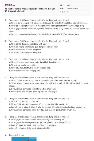 10 câu trắc nghiệm Khoa học tự nhiên 6 Kết nối tri thức Bài 29 (Đúng sai) có đáp án
