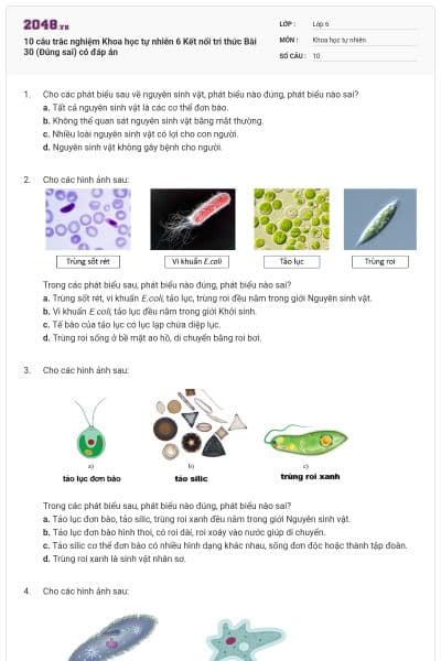 10 câu trắc nghiệm Khoa học tự nhiên 6 Kết nối tri thức Bài 30 (Đúng sai) có đáp án