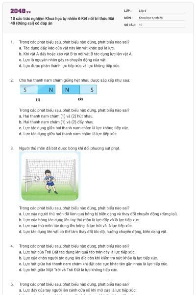 10 câu trắc nghiệm Khoa học tự nhiên 6 Kết nối tri thức Bài 40 (Đúng sai) có đáp án