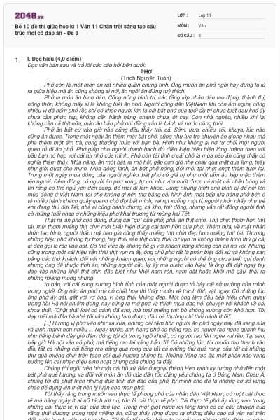 Bộ 10 đề thi giữa học kì 1 Văn 11 Chân trời sáng tạo cấu trúc mới có đáp án - Đề 3