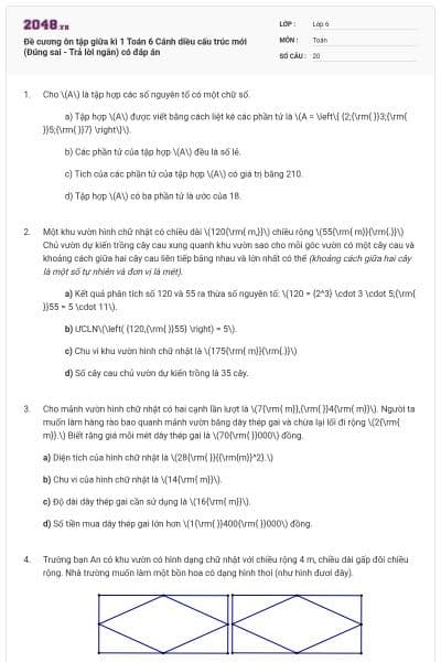 Đề cương ôn tập giữa kì 1 Toán 6 Cánh diều cấu trúc mới (Đúng sai - Trả lời ngắn) có đáp án