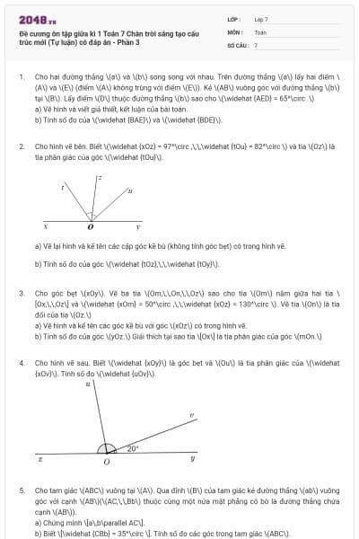 Đề cương ôn tập giữa kì 1 Toán 7 Chân trời sáng tạo cấu trúc mới (Tự luận) có đáp án - Phần 3