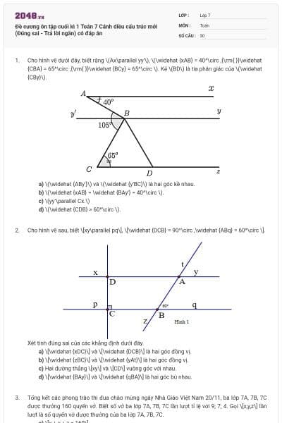 Đề cương ôn tập cuối kì 1 Toán 7 Cánh diều cấu trúc mới (Đúng sai - Trả lời ngắn) có đáp án