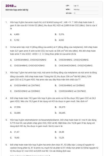 Đốt hỗn hợp amin bất kỳ