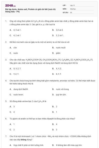 Bài tập Amin, Amino axit, Protein có giải chi tiết (mức độ thông hiểu - P4)