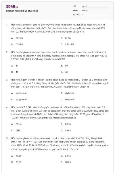 Đốt hỗn hợp amin và chất khác